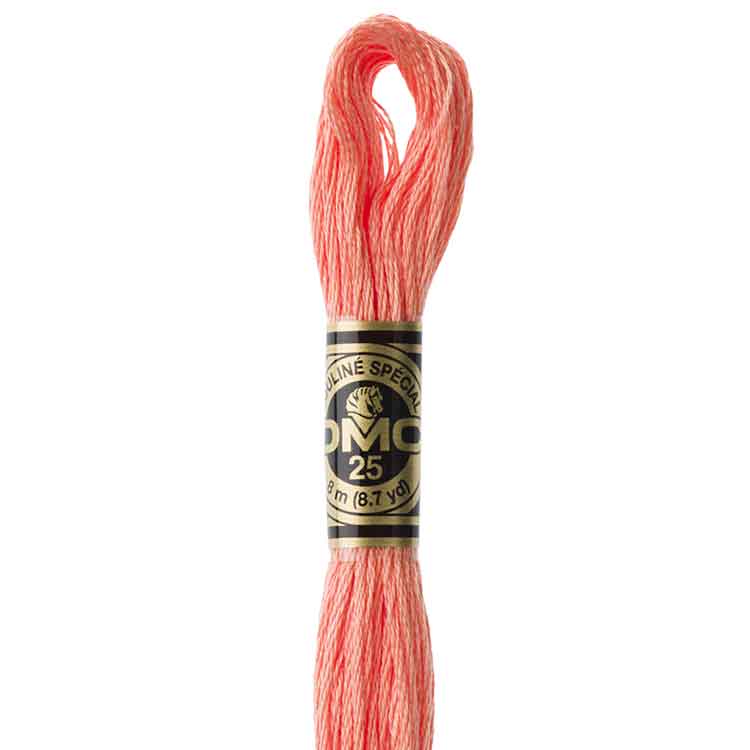 DMC Stranded Cotton Thread Colour #3341 Apricot