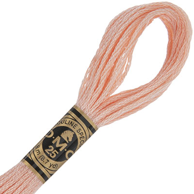 DMC Stranded Cotton Thread Colour #353 Peach
