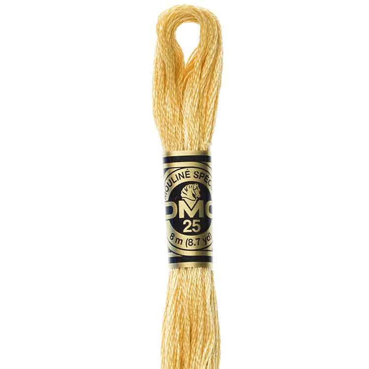 DMC Stranded Cotton Thread Colour #676 Old Gold Light