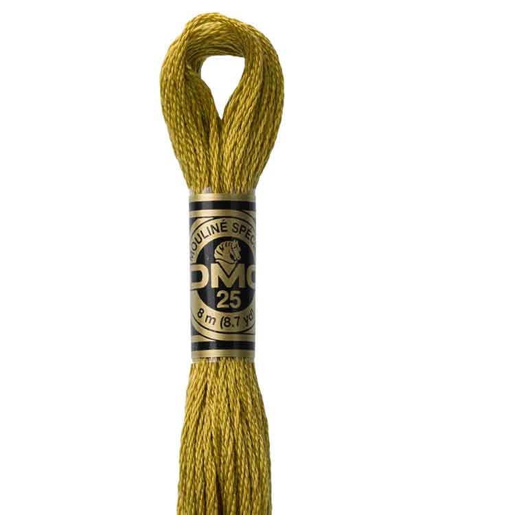 DMC Stranded Cotton Thread Colour #832 Golden Olive