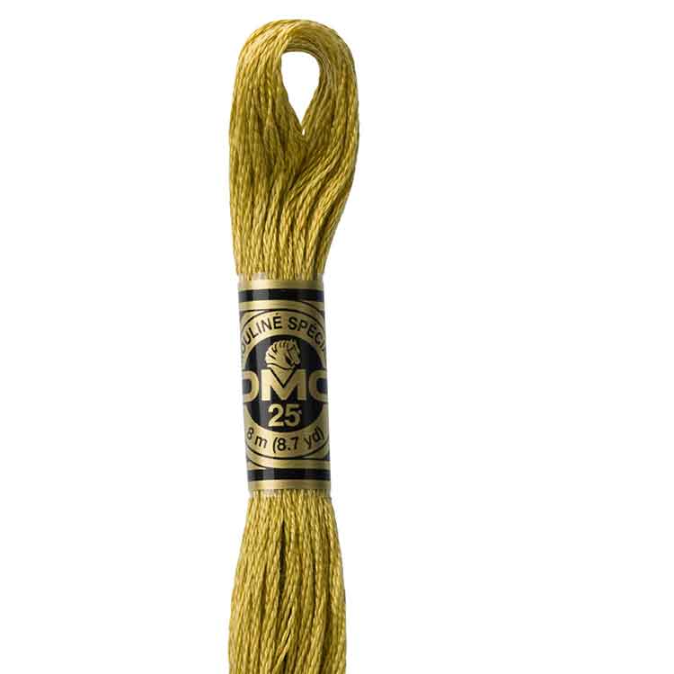 DMC Stranded Cotton Thread Colour #833 Golden Olive Light