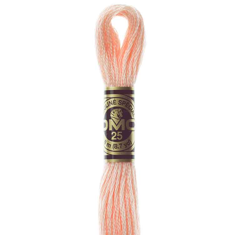 DMC Stranded Cotton Thread Colour #967 Apricot Very Light